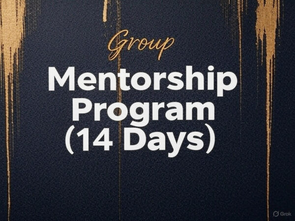 14-Day Credit Repair Business Mentorship